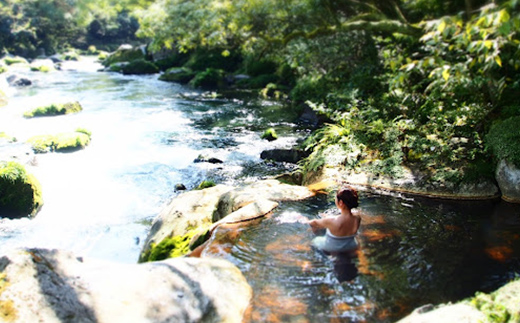 鹿児島県霧島市ANAトラベラーズホテル割引クーポン（3000点分） K-545-A