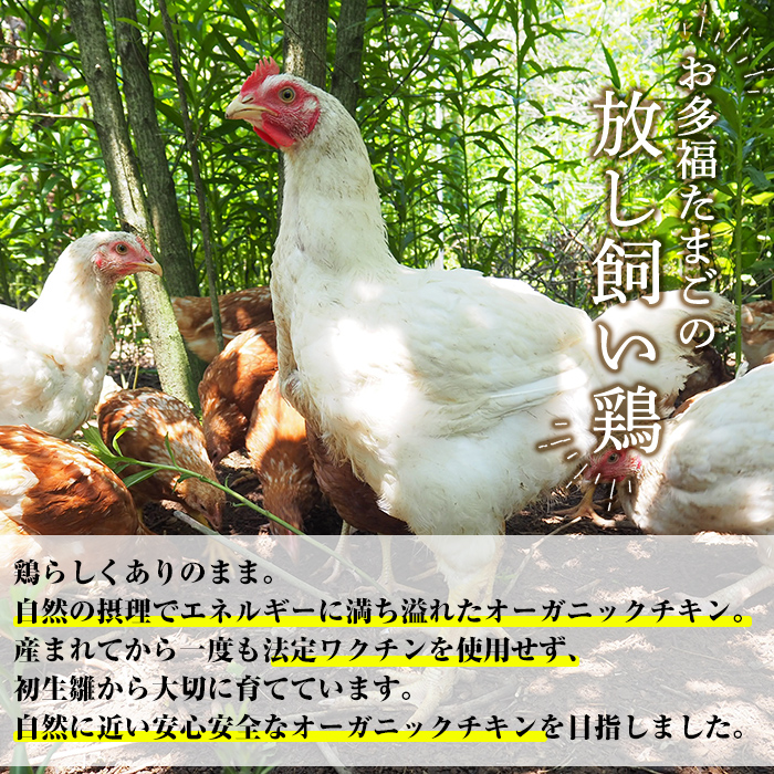 K-598 国産！オーガニックチキン1羽セット 未カット (計1.1kg～1.5kg)【お多福たまご】霧島市 国産 鶏肉 鳥 もも モモ 胸肉 むね ムネ ささみ ササミ オーガニック 有機JAS認定 抗生物質不使用 ワクチン不使用 ワクチンフリー 無投薬飼育 冷凍 小分け