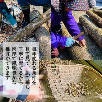 A8-015 特選！どんこ椎茸(100g×3個)  【かごジン】霧島市 国産 野菜 きのこ キノコ 椎茸 しいたけ シイタケ 原木栽培 小分け セット 九州産