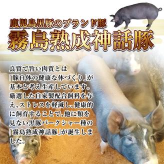 Z6-012-S 霧島神話豚の豚みそ！合計30個(豚味噌10個・ピリ辛味10個・ゴーヤ味10個)【富士食品】霧島市 豚肉 豚味噌 ミソ 味噌 ご飯のお供 調味料 おかず 小分け 和風 惣菜 お弁当