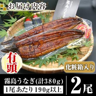 A5-034-RZ ＜冷蔵でお届け＞ 特別サイズ！霧島産うなぎ蒲焼き計380g以上(190g超×2尾)【田代水産】霧島市 うなぎ蒲焼 国産 鹿児島 うなぎ 鰻 ウナギ 高級 蒲焼き 蒲焼 かばやき タレ