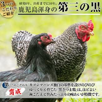 A-137 黒さつま鶏しゃぶしゃぶセット(2～3人前)【カゴシマバンズ】霧島市 鶏肉 鳥肉 お鍋