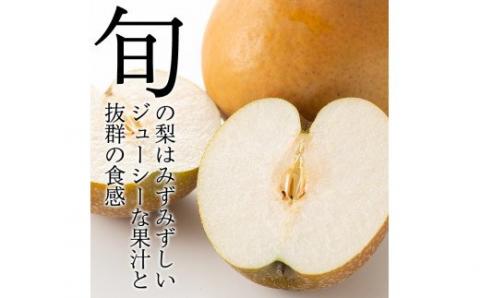 A-138 ＜期間限定！2025年8月中旬～10月上旬の間に発送予定＞梨詰め合わせ(約2.5kg前後)【さくら農園】なし 梨 豊水 フルーツ 果物 期間限定