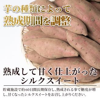 A2-028 鹿児島県産＜シルクスイート＞土付き(10kg)【フレッシュジャパン鹿児島】さつまいも サツマイモ さつま芋 シルクスイート 生芋