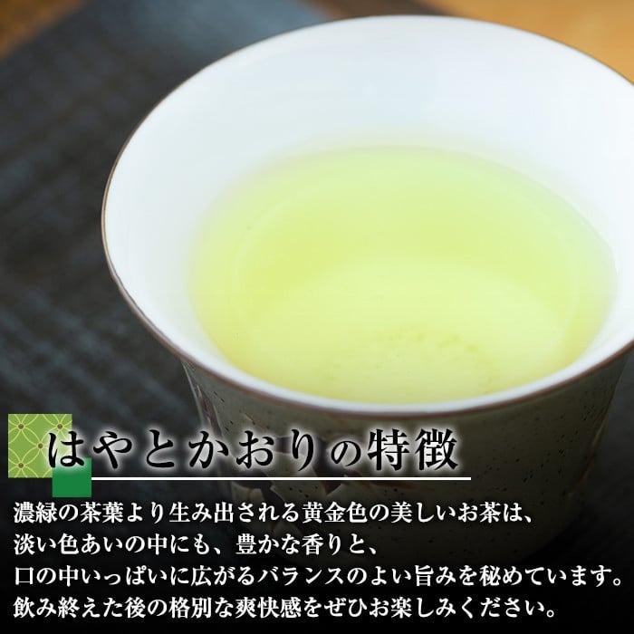 A-019 霧島茶 はやとかおり 雅 詰合せ(100g×3本)【マル竹園製茶】霧島市 緑茶 茶葉 お茶 日本茶