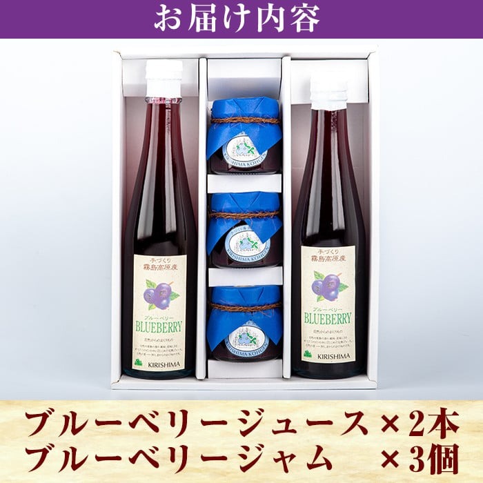A-041 ブルーベリージュース・ジャムセット【霧島農産加エグループふきのとう】霧島市 詰め合わせ 加工品