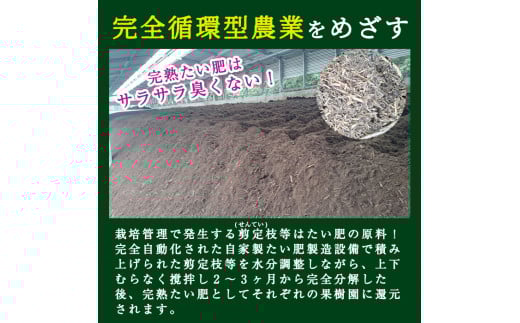 A-082 【県特産品協会理事長賞受賞】金柑大福詰め合わせ(計15個)【さくら農園】霧島市 大福 フルーツ 和菓子 茶請け きんかん 鹿児島