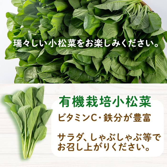 A0-350 ＜期間限定！2023年10月上旬～2024年2月下旬の間に発送予定＞有機小松菜（ゲンセン霧島認定品・合計4kg) 【もりやま農園】霧島市 国産 有機栽培 野菜 やさい こまつな こまつ菜