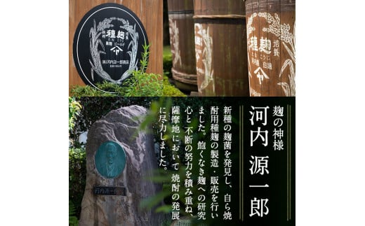 A1-013 《選べる発送》源一郎さんの生マッコリ 900ml (計1本・計18本)【河内菌本舗】霧島市 マッコリ 生マッコリ にごり酒 濁り酒 濁酒 乳酸菌 飲料 微発泡酒 通常便 定期便