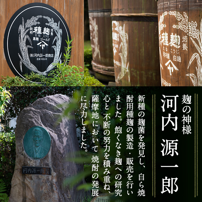 A3-006 《選べる！容量・発送》国産！霧島高原ビール2種飲み比べセット ブロンド・ガーネット各330ml(計6本・計30本・3回定期)【河内菌本舗】霧島市 地ビール ビール 麦酒 お酒 酒 瓶 通常便 定期便