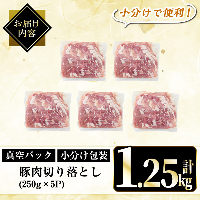A5-033-A 国産！鹿児島県産豚肉切り落とし真空小分け 250g×5P(計1.25kg)【肉の豊楽】霧島市 豚肉 ぶたにく 豚 小分け 切り落とし 真空パック 切落し 冷凍