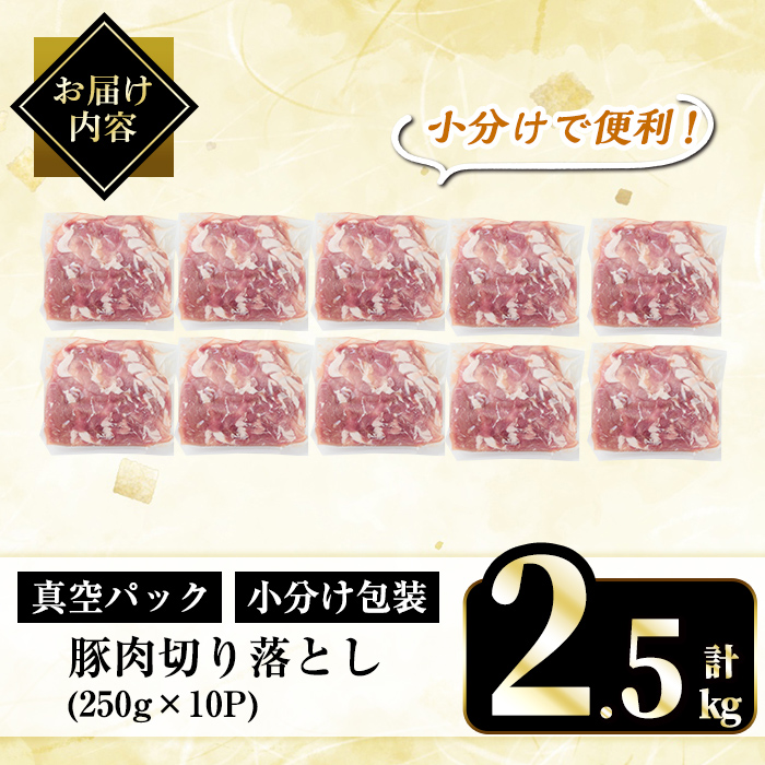 A5-033-B 国産！鹿児島県産豚肉切り落とし真空小分け 250g×10P(計2.5kg)【肉の豊楽】霧島市 肉 豚肉 切り落とし 小分け 真空パック 切落し