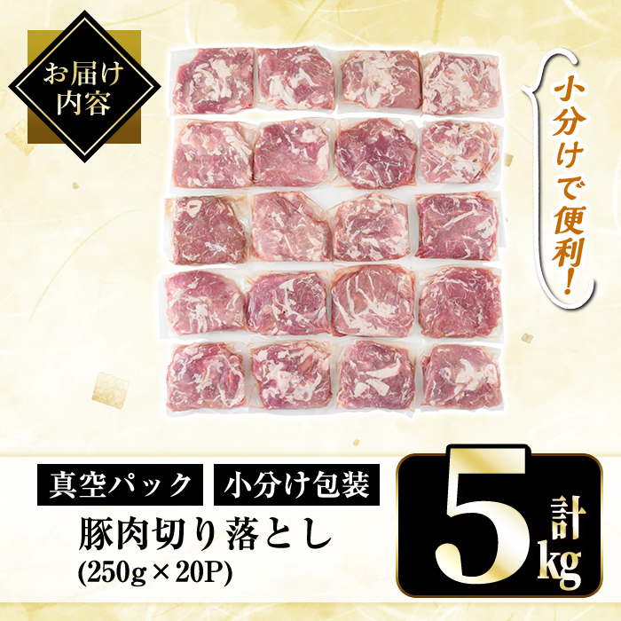 A5-033-D 国産！鹿児島県産豚肉切り落とし真空小分け 250g×20P(計5kg)【肉の豊楽】霧島市 豚肉 ぶたにく 豚 小分け 切り落とし 真空パック 切落し 冷凍