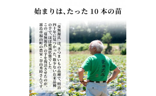 B-005 本格芋焼酎「蔓無源氏」1800ml×2本【かれがぁの焼酎屋谷山酒店】霧島市 地酒 いも焼酎 焼酎 芋 霧島 1.8l 一升瓶
