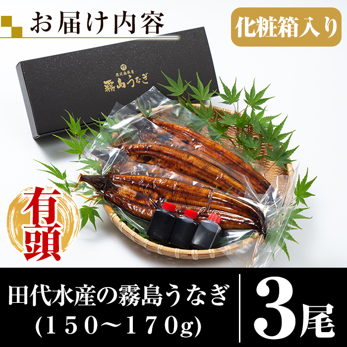 B-128-RZ ＜冷蔵でお届け＞霧島市育ちのあの「うなぎ」150～170g×3尾【田代水産】霧島市 うなぎ蒲焼 国産 鹿児島 うなぎ 鰻 ウナギ 高級 蒲焼き 蒲焼 かばやき タレ