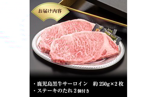 C-013 ＜Ａ５ランク＞黒毛和牛ステーキ計約500g(250g×2枚)※北海道・沖縄配送不可※【今肉屋】ステーキ サーロイン ステーキ肉 ステーキ牛肉 国産 牛肉 A5