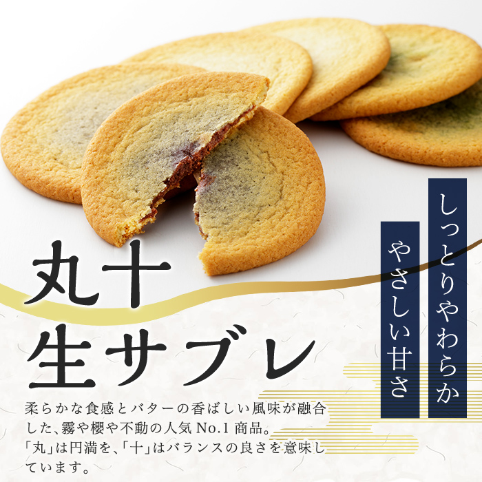 C-086-D 【6回定期便】丸十生サブレ詰め合わせ(12枚入×2箱×6回 計144枚)【徳重製菓とらや】霧島市 生サブレ サブレ しっとり なめらか マイルド お菓子 焼菓子 おやつ お土産 贈り物 手土産 チョコレート ホワイトチョコレート 霧島茶チョコレート