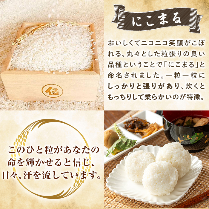 K-198-C 令和7年産 てまひま米(品種:にこまる)(計10kg)【末蜜農園】霧島市 お米 精米 白米 米 こめ コメ ご飯 ごはん 栽培期間中農薬不使用