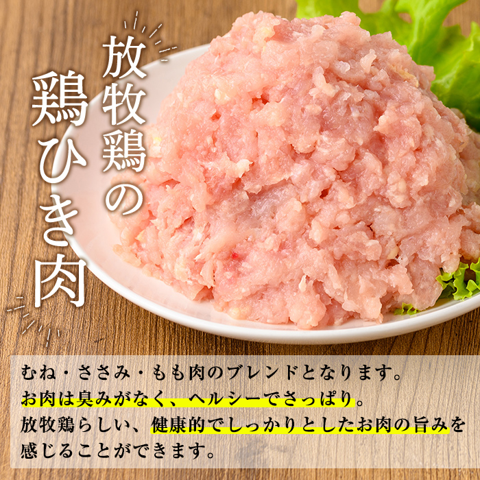 K-330 国産「お多福たまご」の放し飼い鶏ひき肉計5kg(500g×10袋)【お多福たまご】霧島市 国産 鶏肉 鳥 ミンチ 鳥ミンチ ひき肉 挽き肉 冷凍 小分け