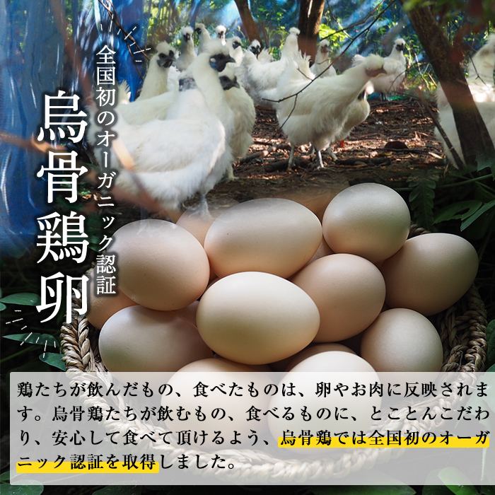 K-331-A ＜通常便＞オーガニック烏骨鶏卵「霧島烏骨鶏」(計12個・6個入×2箱)【お多福たまご】有機JAS 放し飼い自然卵 霧島市 国産 九州産 鹿児島県産 たまご 卵 鶏卵 烏骨鶏 うこっけい 朝食 通常便