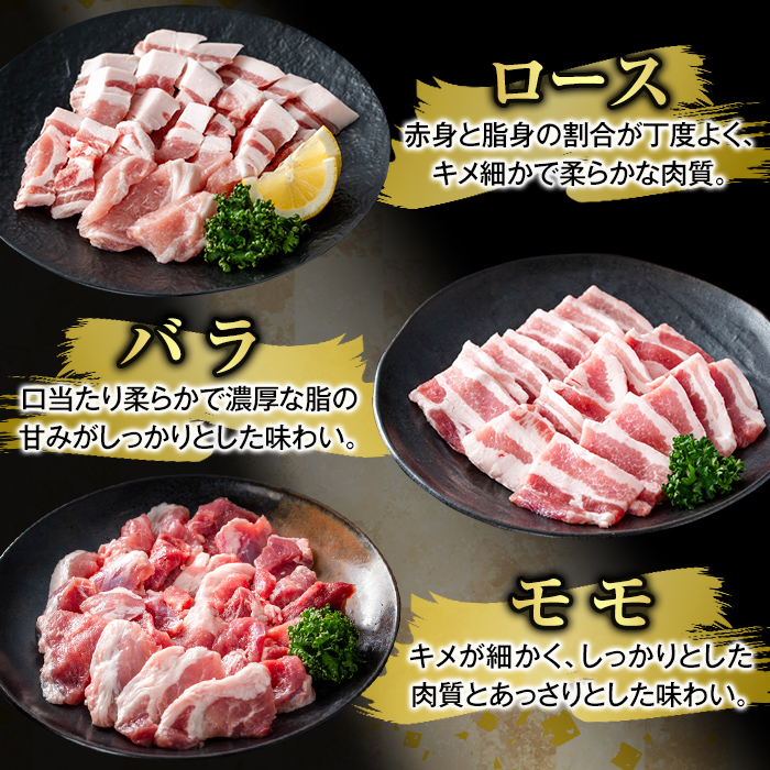 K-367-A かごしま味わい黒豚 さつま焼肉コース(合計900g)【ふるさと産直バザール】霧島市 ロース バラ モモ 焼き肉 ヤキニク 豚肉 国産 鹿児島県産 肉 精肉 小分け セット 食べ比べ