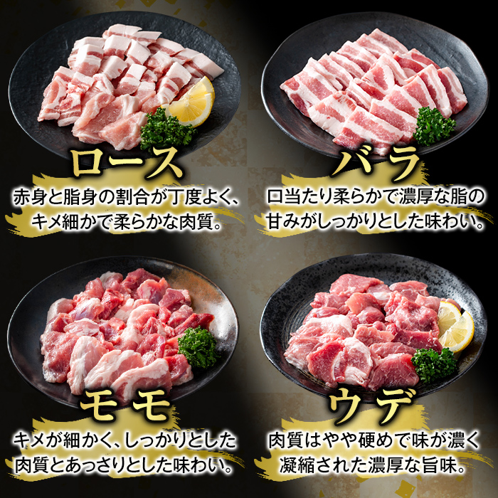 K-370-B かごしま味わい黒豚 焼肉ファミリーパック(合計2.4kg)【ふるさと産直バザール】霧島市 ロース バラ モモ ウデ 焼き肉 ヤキニク 豚肉 国産 鹿児島県産 肉 精肉 小分け セット 食べ比べ
