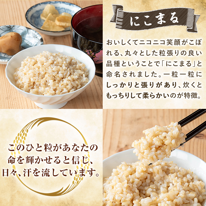 K-391-F 【6回定期便】令和7年産新米 てまひま米・玄米(品種:にこまる)(計30kg：5kg×6回)【末蜜農園】霧島市 お米 玄米 米 こめ コメ ご飯 ごはん 定期便 栽培期間中農薬不使用