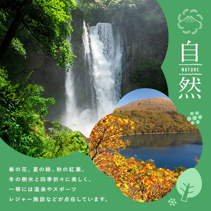 K-418 鹿児島県霧島市の対象ツアーに使えるHISふるさと納税クーポン(300,000円分)【エイチ・アイ・エス】霧島市 旅行 ツアー 観光 トラベル 旅 チケット 電子クーポン 旅行券