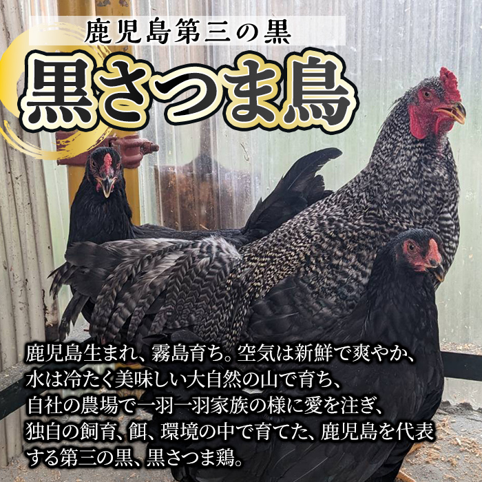 K-420 鹿児島県産黒さつま鶏 特選むね肉(4枚・計800g以上)【ビッグバード・カピリナ】 国産 鶏肉 鳥肉 ムネ肉 鶏むね肉 胸肉 肉 とりにく タンパク質