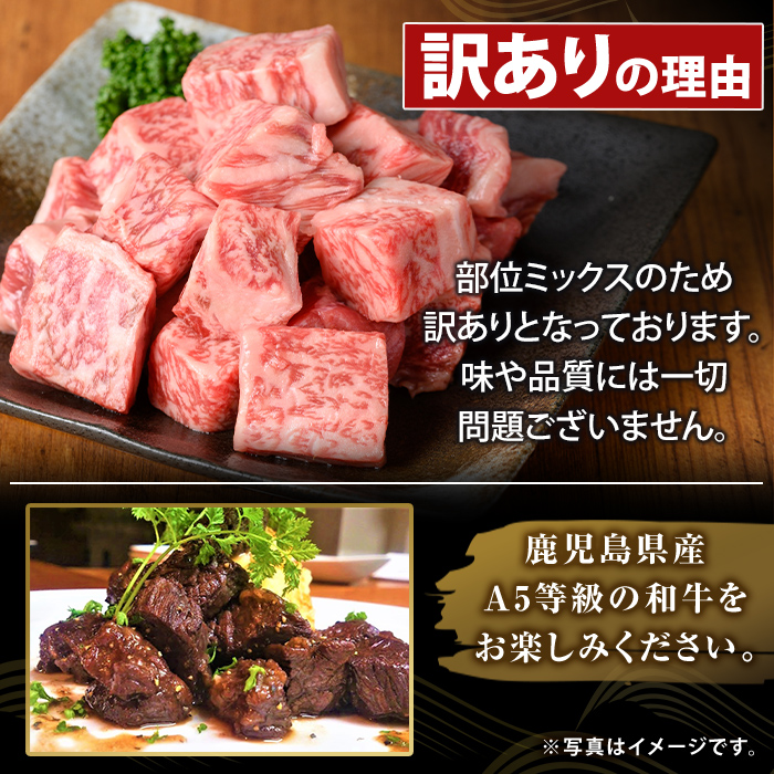 K-475-C ＜訳あり＞鹿児島県産黒毛和牛A5等級サイコロステーキ(計1.2kg) 【ふるさと産直バザール】霧島市 不揃い サイコロ ステーキ 牛肉 国産 鹿児島県産 肉 精肉