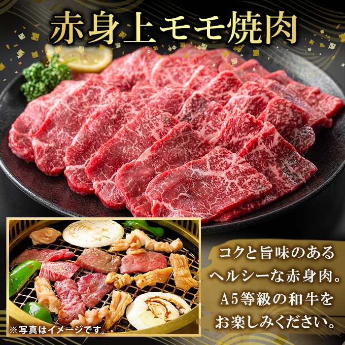 K-483-C 鹿児島県産A5等級黒毛和牛赤身上モモ焼肉(計750g)【ふるさと産直バザール】霧島市 牛肉 国産 鹿児島県産 モモ 焼肉 肉 精肉