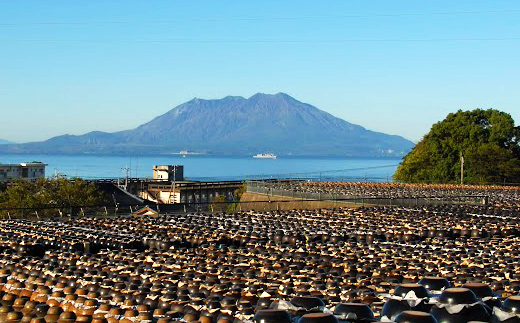 鹿児島県霧島市ANAトラベラーズホテル割引クーポン（15000点分） K-545-C