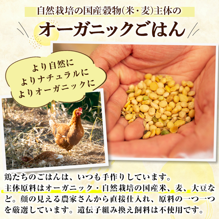 K-598 国産！オーガニックチキン1羽セット 未カット (計1.1kg～1.5kg)【お多福たまご】霧島市 国産 鶏肉 鳥 もも モモ 胸肉 むね ムネ ささみ ササミ オーガニック 有機JAS認定 抗生物質不使用 ワクチン不使用 ワクチンフリー 無投薬飼育 冷凍 小分け