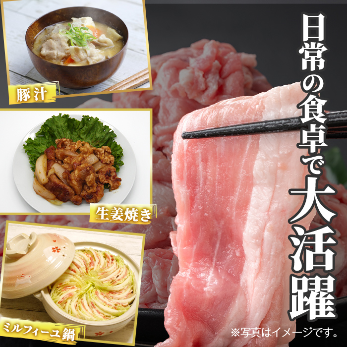 K-618-A 鹿児島県産豚切り落とし 真空パック250g×6P(計1.5kg)【ハピネス】霧島市 肉 豚肉 豚 精肉 鹿児島県産 切り落とし セット 小分け 冷凍