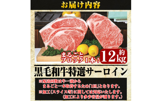 P-702 鹿児島県産黒毛和牛＜A5等級＞黒毛和牛特選サーロイン1本約12kg【きりしま畜産】牛肉 国産 サーロイン ブロック 牛 ブロック肉  a5