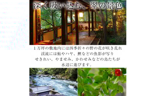 P1-060 妙見石原荘 宿泊・お食事等利用券(30,000円分)【妙見石原荘】霧島市 旅行 旅館 チケット 食事 温泉 旅行クーポン 温泉旅館