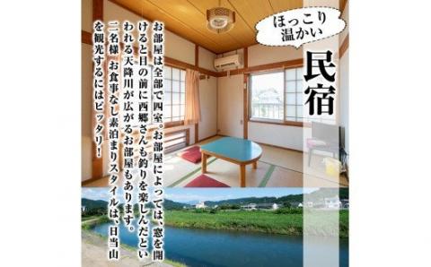 A-048 天然湧出温泉「西郷どん湯」温泉宿ペア宿泊券（素泊まり・要予約）【西郷どん湯温泉組合】