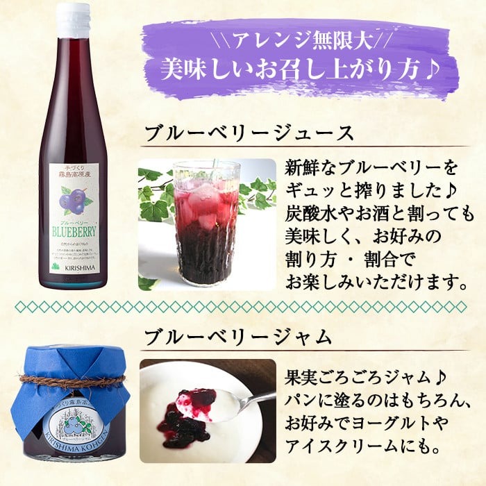 A-041 ブルーベリージュース・ジャムセット【霧島農産加エグループふきのとう】霧島市 詰め合わせ 加工品