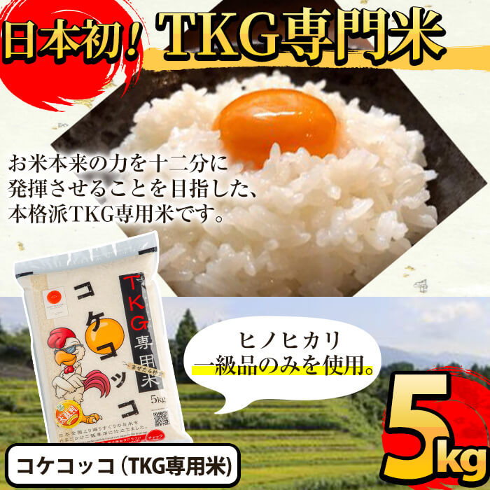 A-153 《令和7年産新米》日本初！卵かけご飯専用米!コケコッコ(TKG専用米)計5kg【山口米店】お米 精米 白米 米 お米 こめ コメ