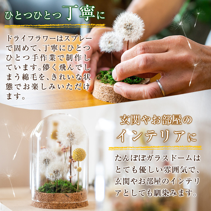 A0-256 たんぽぽガラスドーム・たんぽぽ一輪(1点)【かわいち国分】霧島市 インテリア たんぽぽ ガラスドーム 置き物 ドライフラワー ハンドメイド
