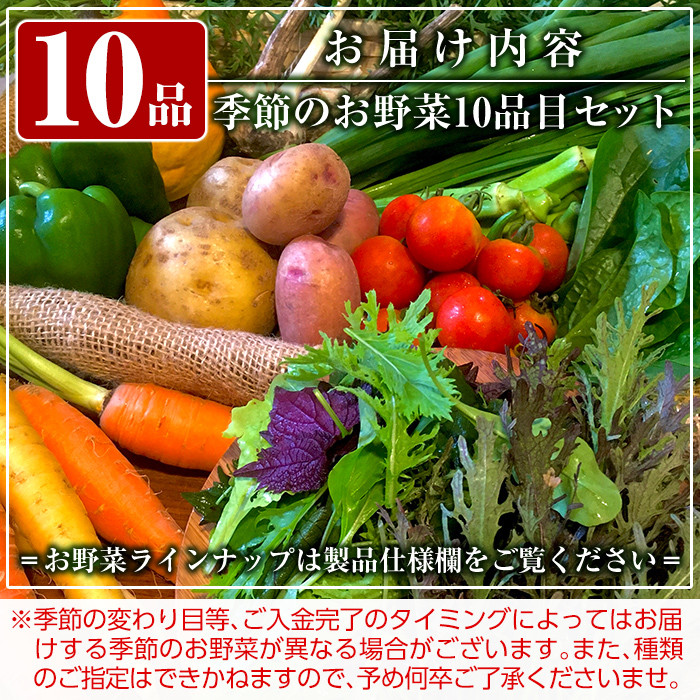 A2-011 霧島産！旬の野菜セット(季節の野菜10品)【有機ファームえん】