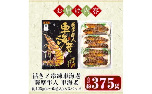 B-014 活き〆冷凍車海老「薩摩隼人車海老」合計約375g(約125g×3パック)【MBC開発】霧島市 えび 冷凍 海老 エビ 車エビ 刺身 調理 小分け