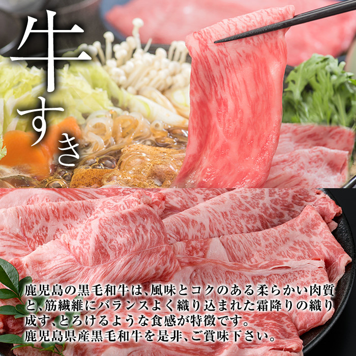 B0-199 厳選A5等級！鹿児島県産黒毛和牛すき焼き用赤身肉(500g)※北海道・沖縄配送不可※【今肉屋】国産 肉 牛肉 赤身 黒毛和牛 A5 すきやき