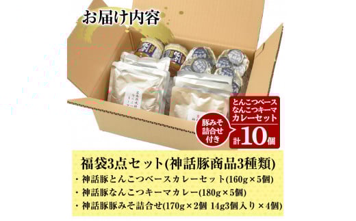 B7-001 鹿児島黒豚「霧島熟成神話豚」レトルトカレー福袋3点セット【富士食品】霧島市 レトルトカレー 常温保存 惣菜 おかず