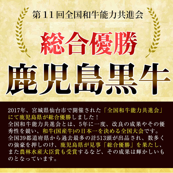 C-013 ＜Ａ５ランク＞黒毛和牛ステーキ計約500g(250g×2枚)※北海道・沖縄配送不可※【今肉屋】ステーキ サーロイン ステーキ肉 ステーキ牛肉 国産 牛肉 A5