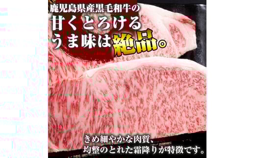 C-030 鹿児島県産黒毛和牛＜A5等級＞黒毛和牛サーロインステーキ約250ｇ×2枚【きりしま畜産】肉 牛肉 サーロイン ステーキ