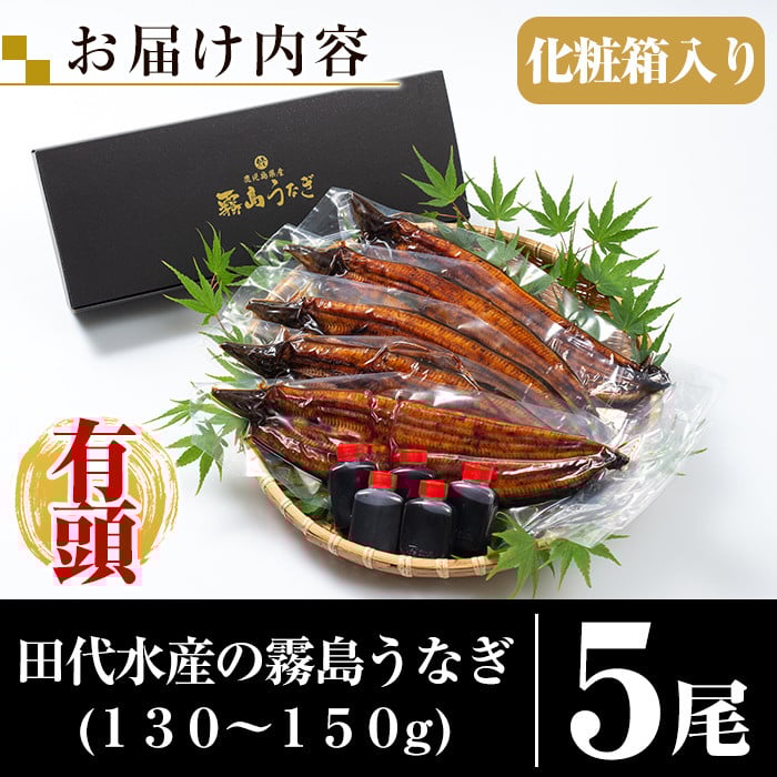 C-077-RT ＜冷凍でお届け＞霧島市育ちのあの「うなぎ」120～130g×5尾【田代水産】霧島市 鰻 ウナギ 蒲焼き 蒲焼 国産