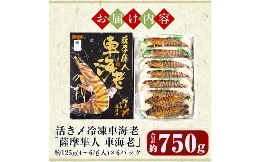 D-004 活き〆冷凍車海老「薩摩隼人車海老」6パック【MBC開発】霧島市 えび 冷凍 海老 エビ 車エビ 刺身 調理 小分け