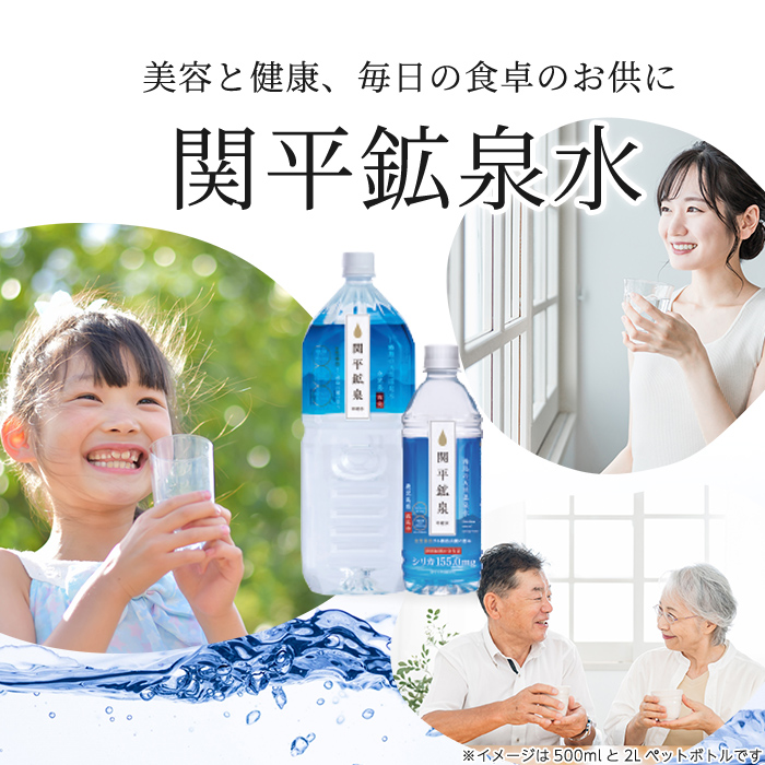 K-187 ＜定期便・全3回＞関平鉱泉水2Lペットボトル×10本ずつお届け(計30本)【関平鉱泉所】霧島市 水 2l ミネラルウォーター 温泉水 シリカ シリカ水 ミネラル成分 飲料水 2リットル 水2リットル 定期便