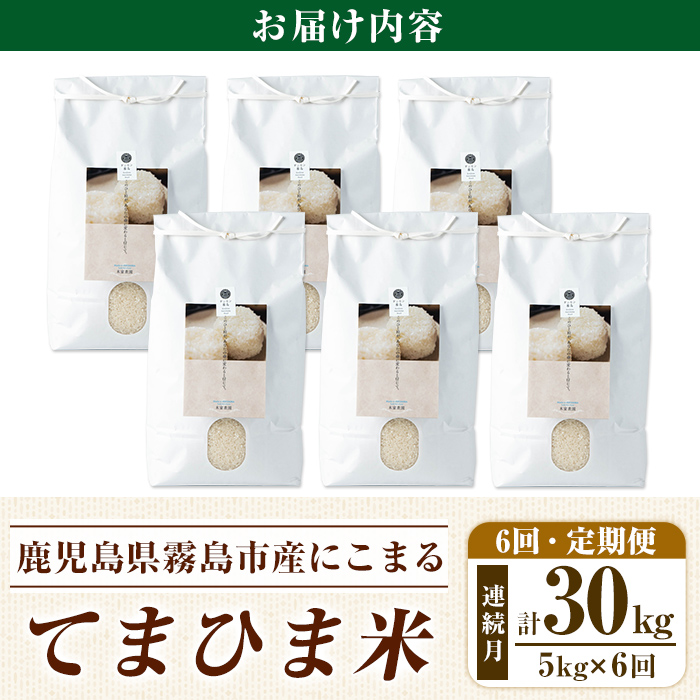K-198-F 【6回定期便】令和7年産新米 てまひま米(品種:にこまる)(計30kg：5kg×6回)【末蜜農園】霧島市 お米 精米 白米 米 こめ コメ ご飯 ごはん 定期便 栽培期間中農薬不使用